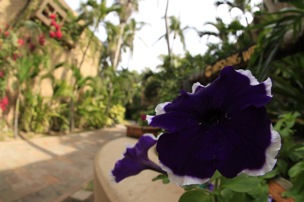 Villas El Rancho Green Resort Mazatlán Εξωτερικό φωτογραφία